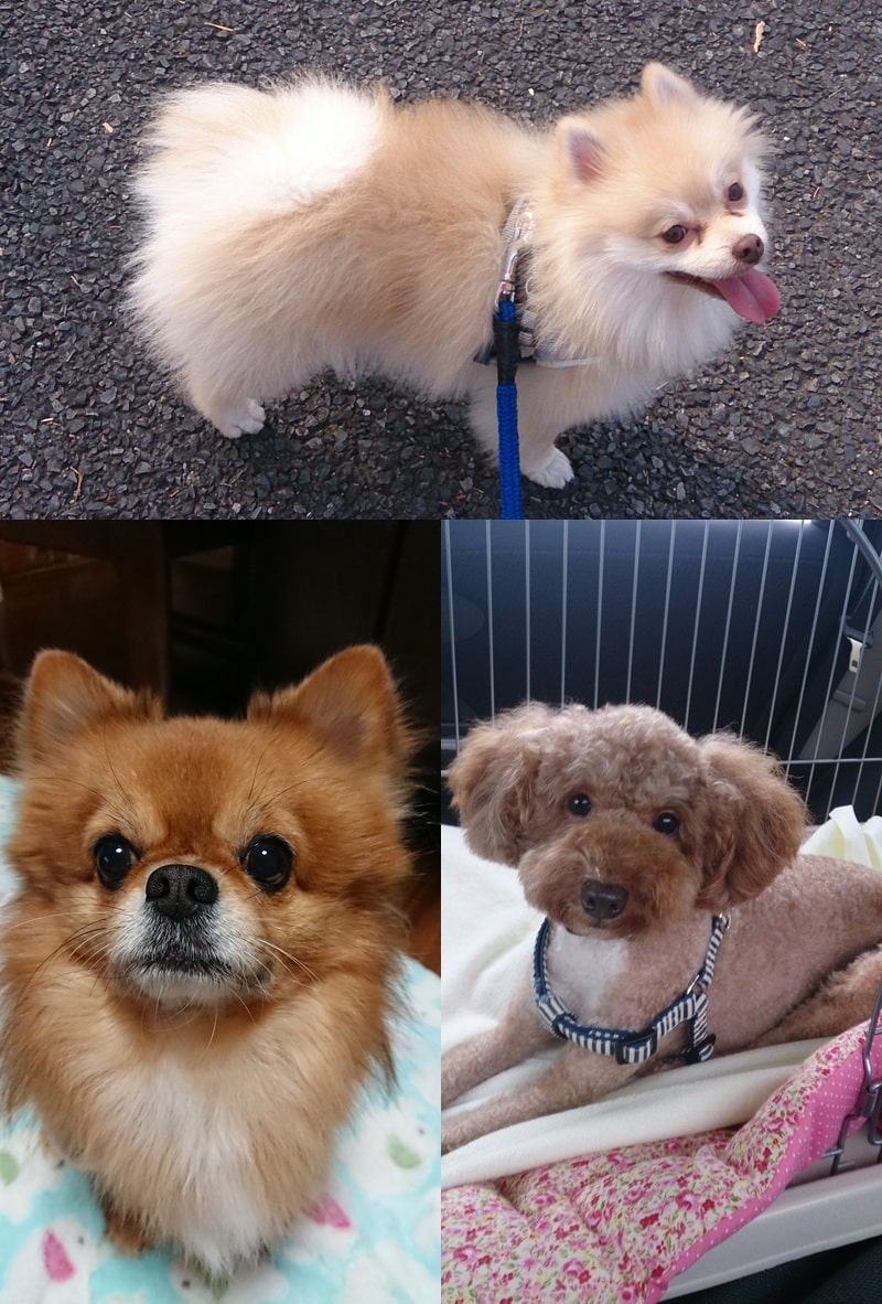 赤帽名古屋の夜景